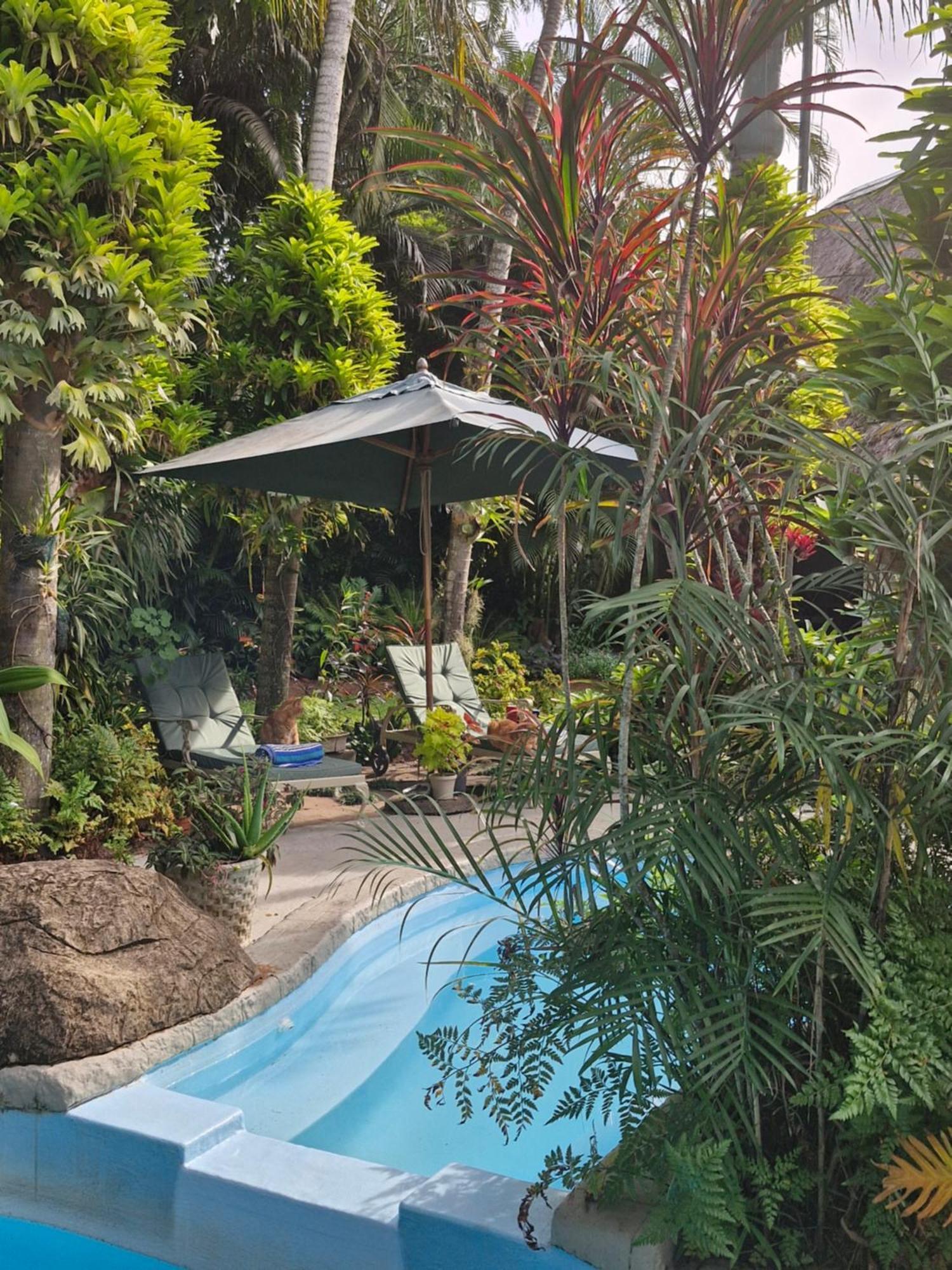 African Ambience Guest House Saint Lucia Estuary Dış mekan fotoğraf